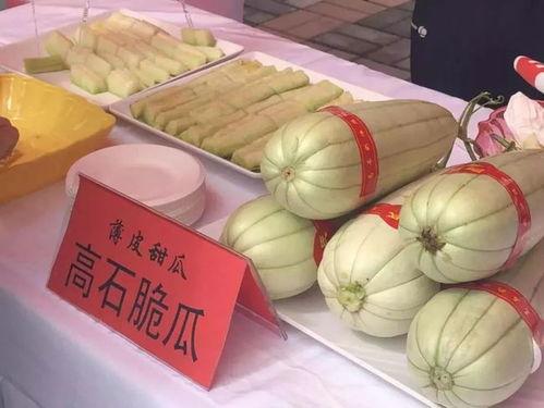吃瓜蒲城主播,揭秘网络主播的幕后生活