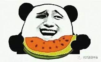 群众吃瓜的欢乐,群众共享吃瓜欢乐时光