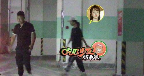 张小寒吃瓜杨紫,揭秘娱乐圈背后的故事