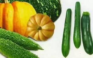 吃瓜吃球,揭秘娱乐圈与体育圈的跨界传奇