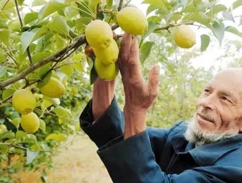 库尔勒吃瓜网红