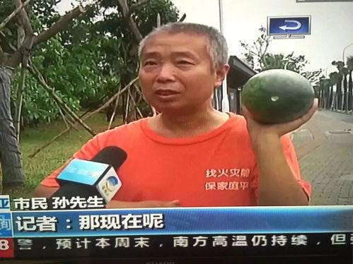 最新吃瓜热门事件舞台,这场风波背后的真相与影响