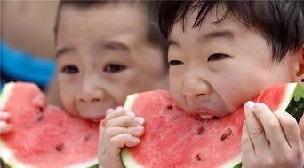 吃瓜日常年代,穿越时代的味蕾记忆