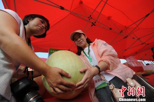 慈禧吃三白瓜,宫廷美食背后的传奇故事
