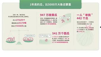 吃瓜消费报告,揭秘瓜界消费趋势与市场动向