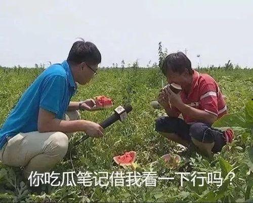 吃瓜理性吃瓜,揭秘网络舆论背后的真相