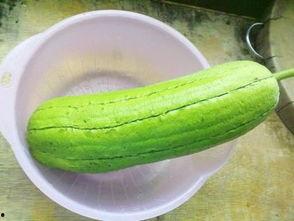 水瓜可以连皮吃