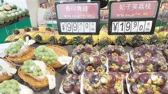 每天吃瓜吃不消,轻松度日