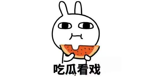 吃瓜感情经历分析,一场吃瓜者的甜蜜蜕变之旅