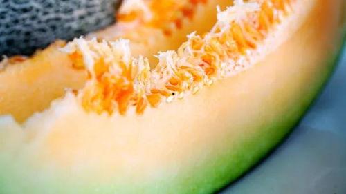 吃瓜送清凉,吃瓜送清凉，共享清凉夏日时光