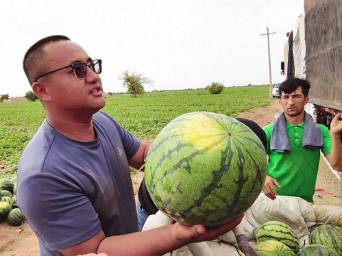 吃瓜客1,一场网络热议背后的真相