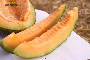 福宝吃瓜,揭秘娱乐圈那些不为人知的幕后故事