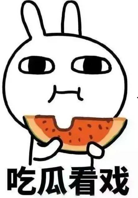 吃瓜网民,吃瓜网民的狂欢与思考