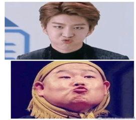 艺人吃瓜粉丝行为,艺人吃瓜，粉丝狂欢背后的故事