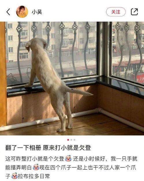 吃瓜不分年龄和物种,年龄与物种界限的美食狂欢