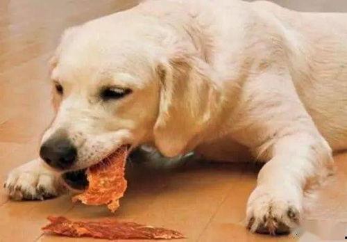 潘红吃瓜狗,揭秘娱乐圈背后的真实故事