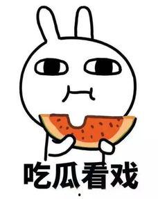 吃瓜君lsb,一场关于瓜子的奇妙之旅