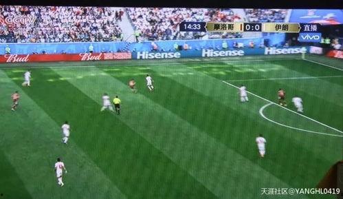 小罗吃瓜群众,揭秘娱乐圈幕后故事