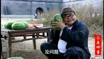 平遥吃瓜事件视频,一场引发热议的网络风波揭秘