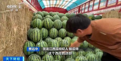 石埠吃瓜,揭秘当地特色美食背后的故事